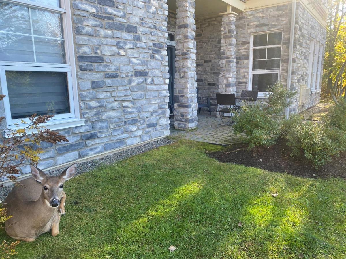 Rental Condo Tremblant-Les-Eaux Mont-Tremblant Eksteriør bilde